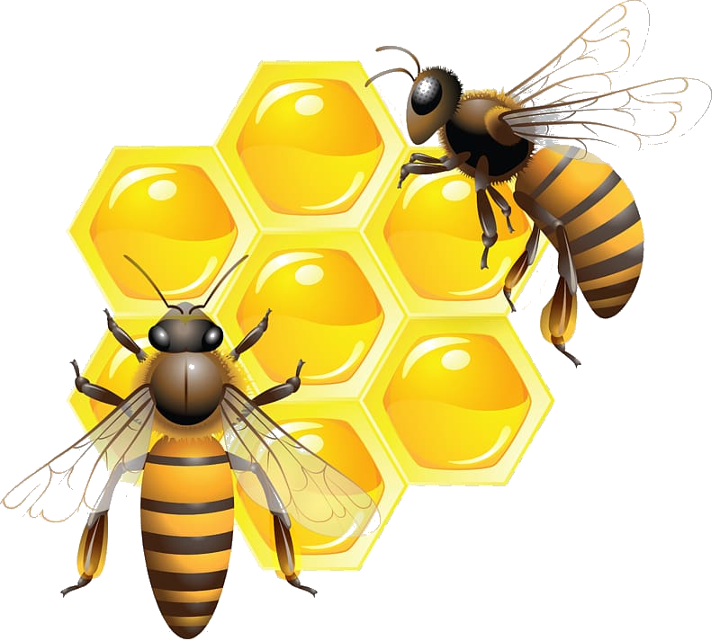 honey-bee.png
